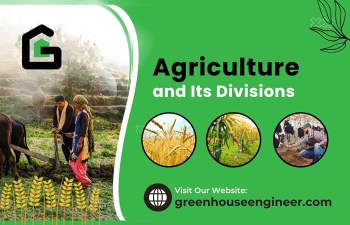 Illustration showing the core concept of agriculture, including crop cultivation, animal husbandry, and modern farming techniques.