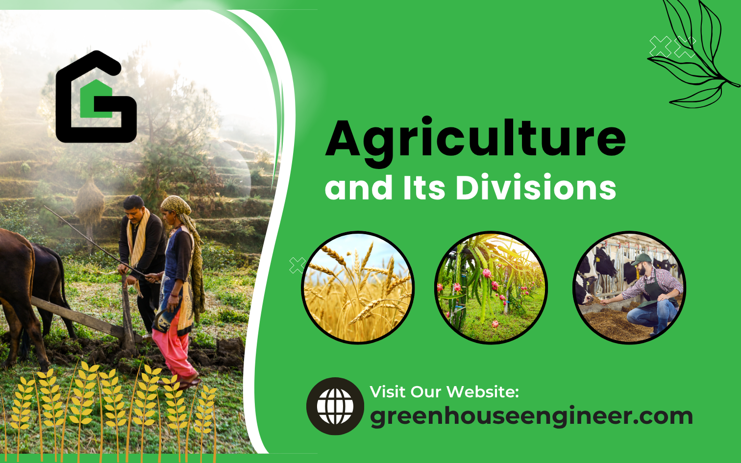 Illustration showing the core concept of agriculture, including crop cultivation, animal husbandry, and modern farming techniques.