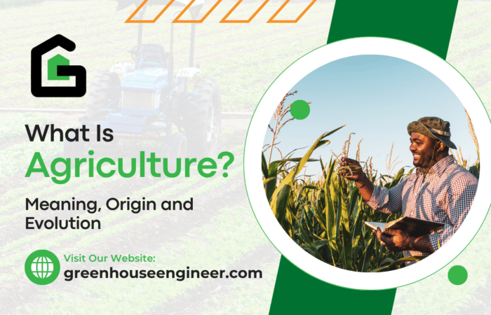 Historical and modern visuals showing the origin, meaning, and evolution of agriculture from ancient to advanced farming.