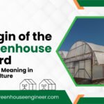 Modern greenhouse structure used in agriculture, illustrating the origin of the greenhouse word and its meaning in protected cultivation.