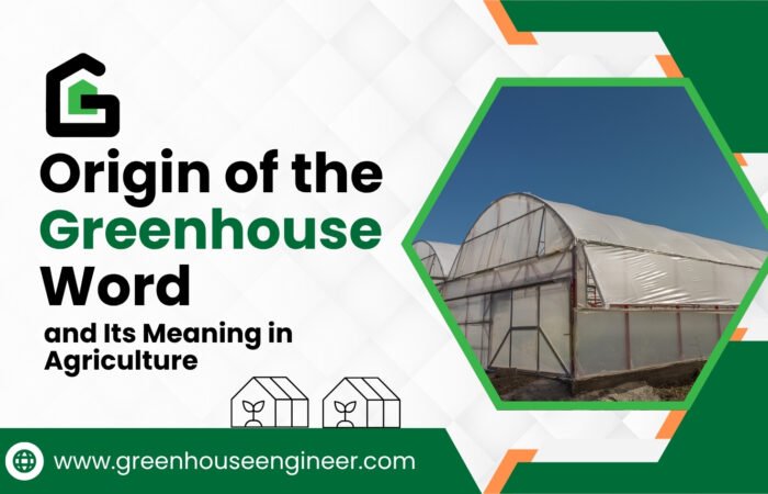 Modern greenhouse structure used in agriculture, illustrating the origin of the greenhouse word and its meaning in protected cultivation.
