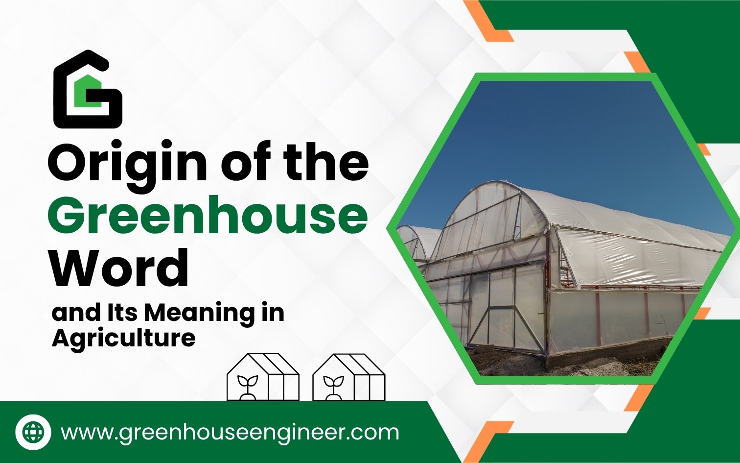 Modern greenhouse structure used in agriculture, illustrating the origin of the greenhouse word and its meaning in protected cultivation.